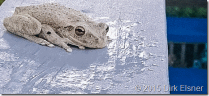 clip_image002